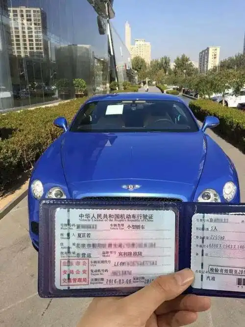 豪车提车驾驶证生成器,小伙你太有才了