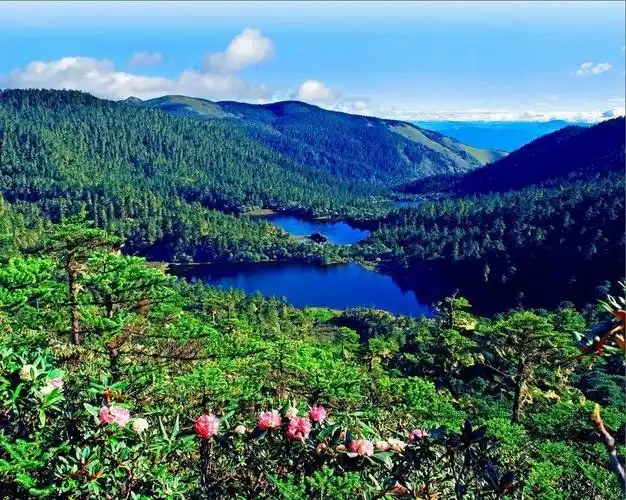 入选中国最美森林一处隐藏于丽江古城之外的人间胜地