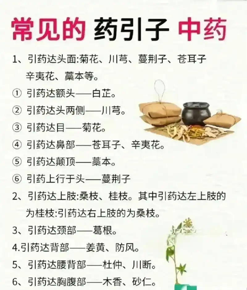中药里面的引经药,有了这些药物的作用,可以使整个药方的作用力 - 抖