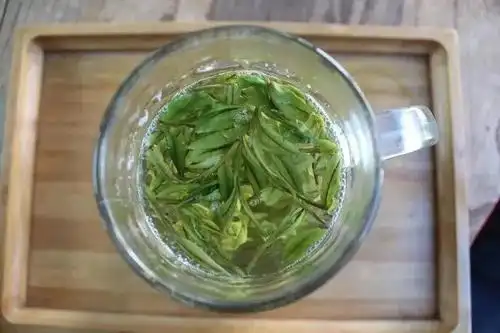 第三道茶——清茶