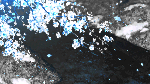 500_281gif 动态图 动图