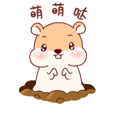 240_240gif 动态图 动图