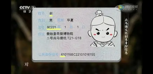 记录冬至余晖中那些最man的脸,兵马俑"身份证"摄影师赵震: 我拥有世界