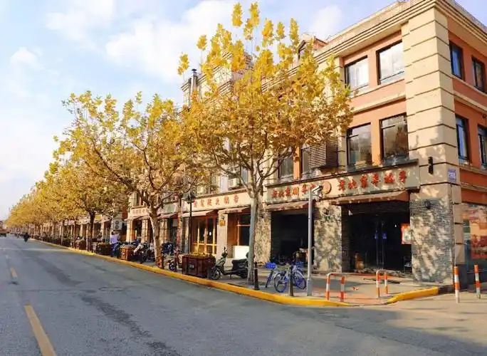 【探索】松江,金山这些市容街景提升了,你打卡了吗?