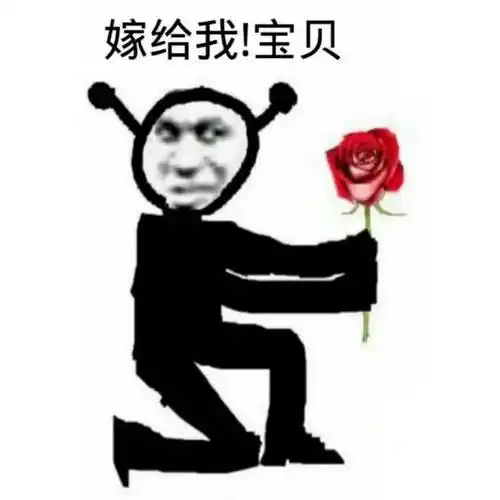 宝贝 求婚表情包_求婚_嫁给_宝贝表情