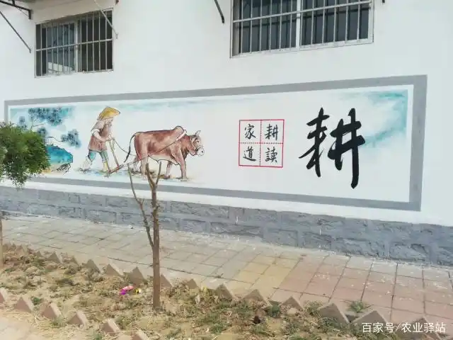 美丽乡村新面貌,墙画扮靓高颜值