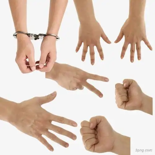 人手png素材透明免抠图片-动植人物