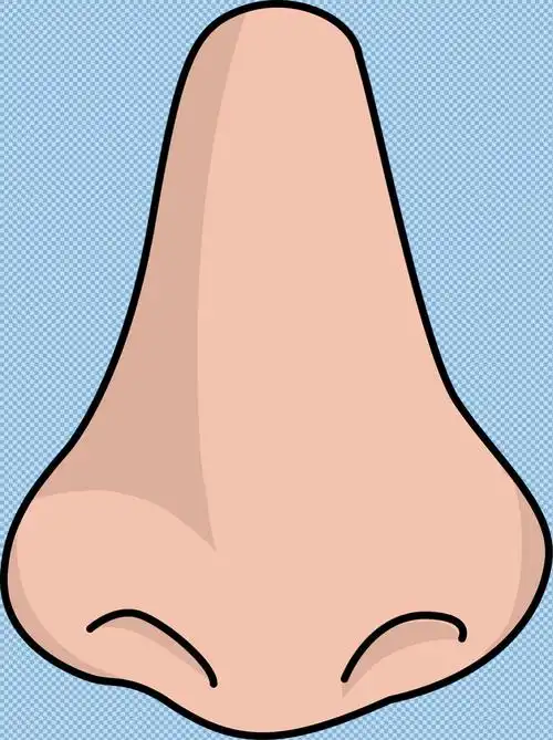 手绘大鼻子免抠png透明图层素材