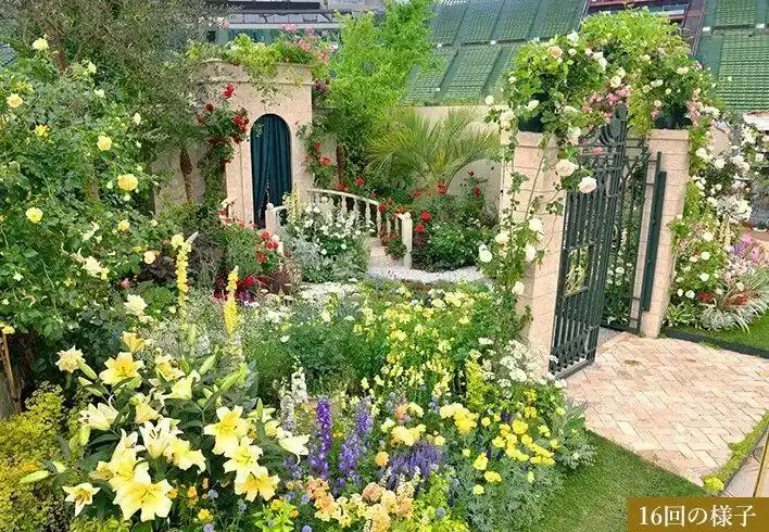 这场世界级月季展还有啥吸引力?_花园