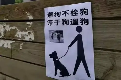 杏林雅居狗咬人了,之前发贴有预防,现在终于发生了