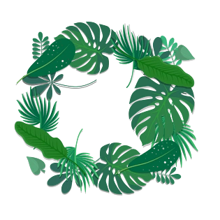 夏日叶子热带植物装饰图案