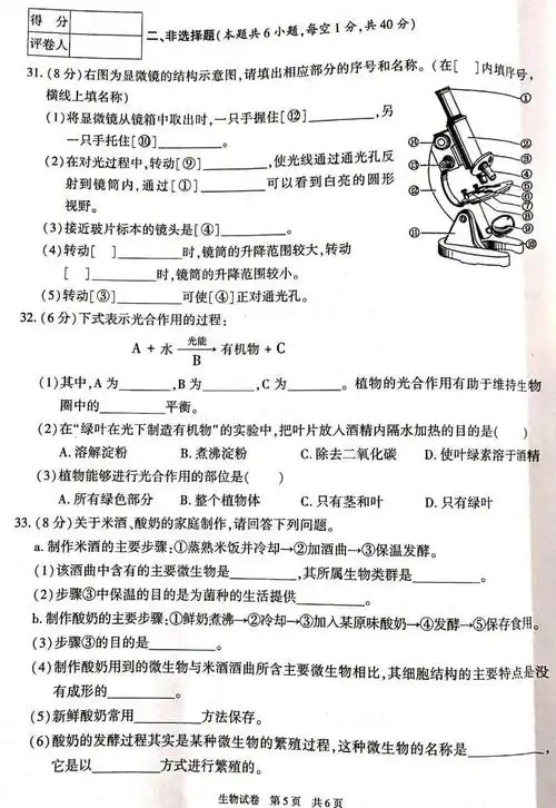 初中生物2020中考生物真题新疆卷含答案考前再刷一遍题