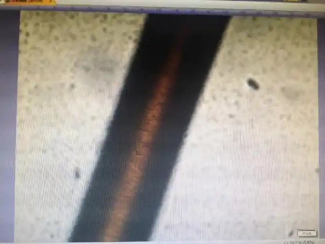 显微镜下我的头发