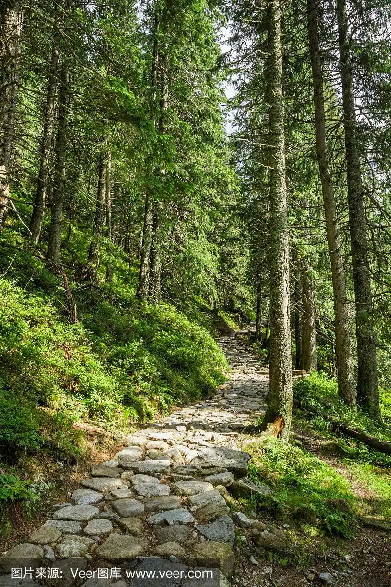 通往山顶的石头小路