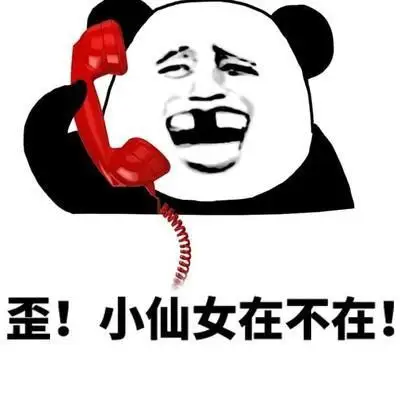 健康无忧网 图说健康 呼叫小仙女表情包-在线图片欣赏