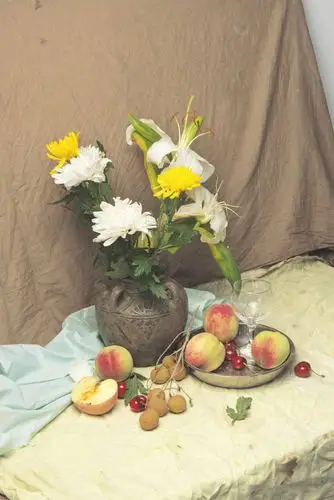 静物写生之组合类照片素材,非常实用的静物素材图集