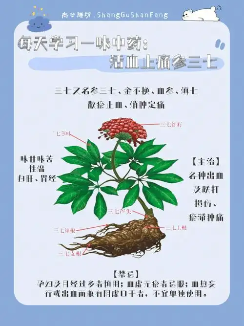 三七,金不换,血参,滇七【性味归经】味甘味苦性温,归肝,胃经【功效】