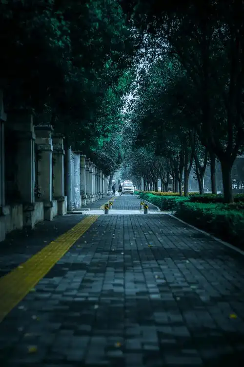 开春以来,第一次扫街!