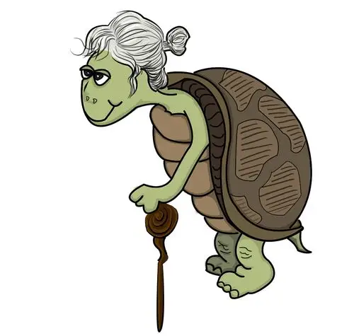 动物类动画角色