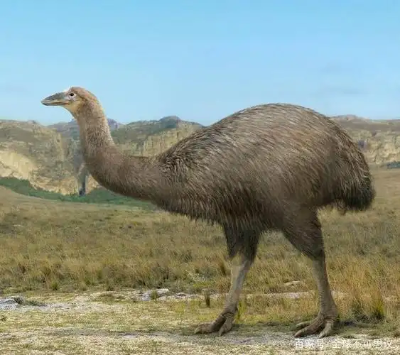 科学家想要复活的10种已灭绝动物