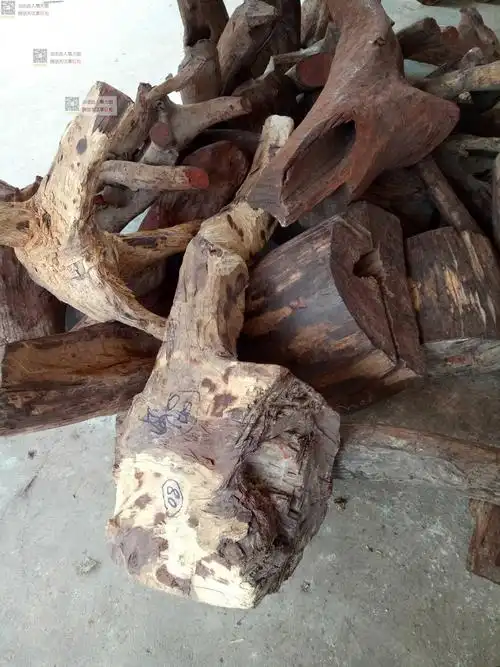 正宗老挝大红酸枝交趾黄檀雕刻原木料弹弓料把件料 根雕木料