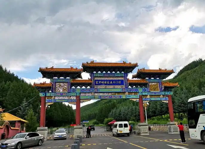 难忘的塞罕坝之行(1)