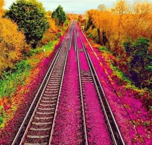 小路唯美意境图片_小路的绚丽美景_唯美图片_精品库