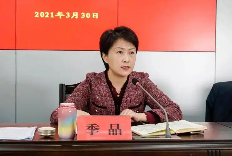 区委副书记,区长季晶对扎实推进整治工作提出了要求.