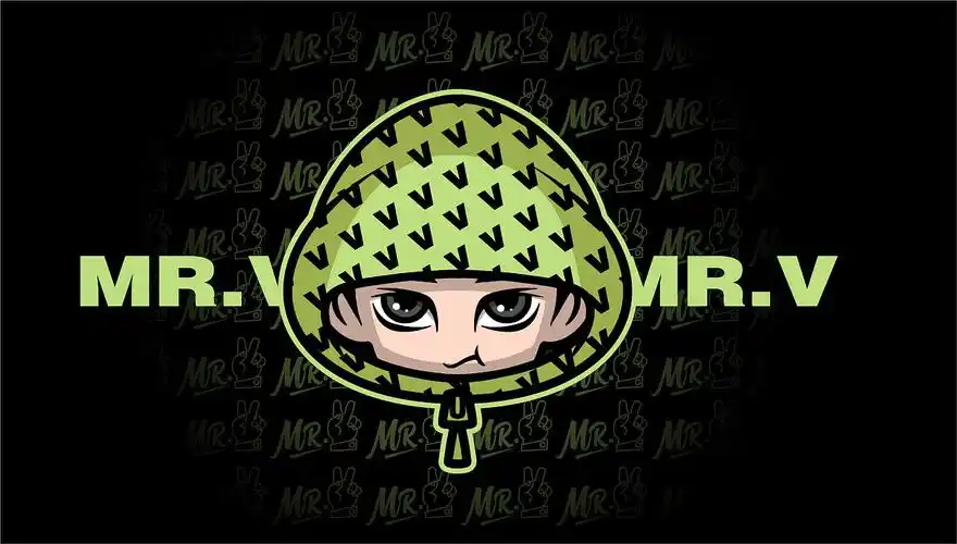 v先生(个人形象ip)