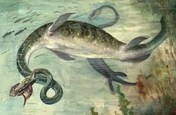 海怪真的存在吗世界十大恐怖海怪传说