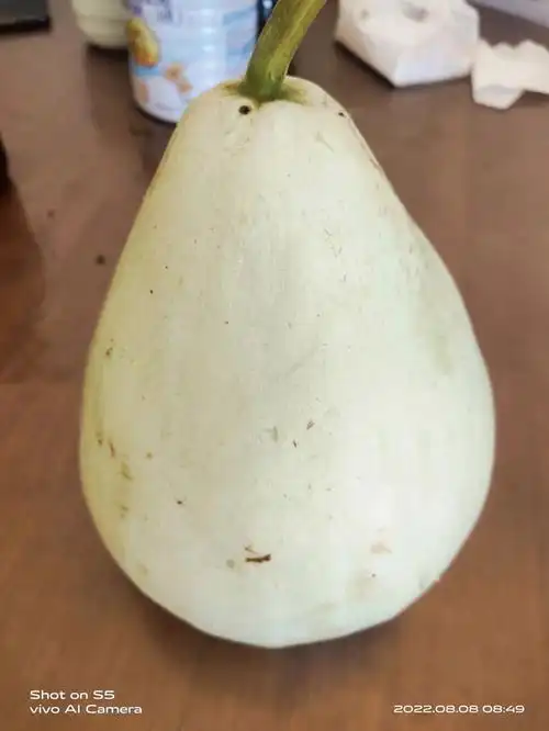 我们这里叫瓠瓜白色好像广州的白瓜