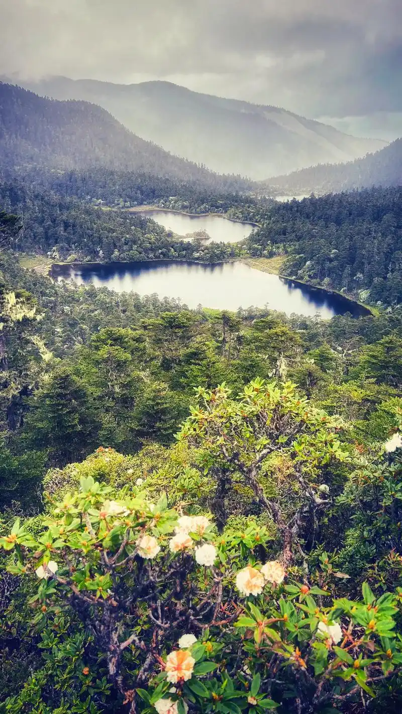 舍不得的丽江,风景秀丽的老君山九十九龙潭,您想来吗?我在丽江 - 抖音