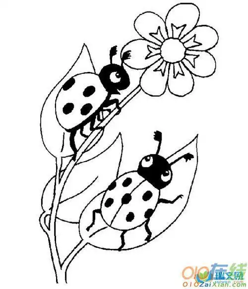 小虫子简笔画小虫子简笔画图片大全可爱