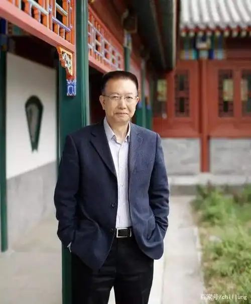 陈晓明大嘴撇的那叫一个哈哈哈