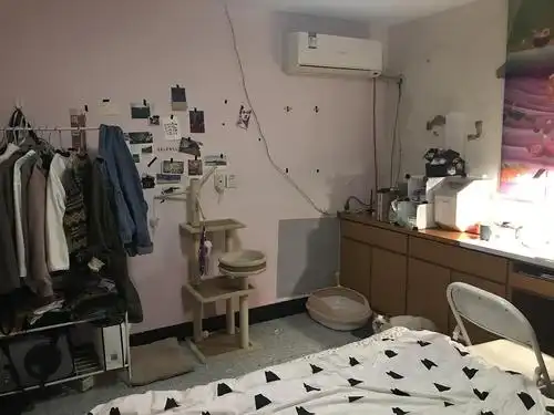 老破小卧室想改造一下,想问问大家有什么意见(救.