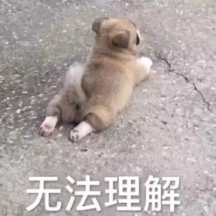 我不理解表情包,我不理解系列,表示不理解想不明白的图片