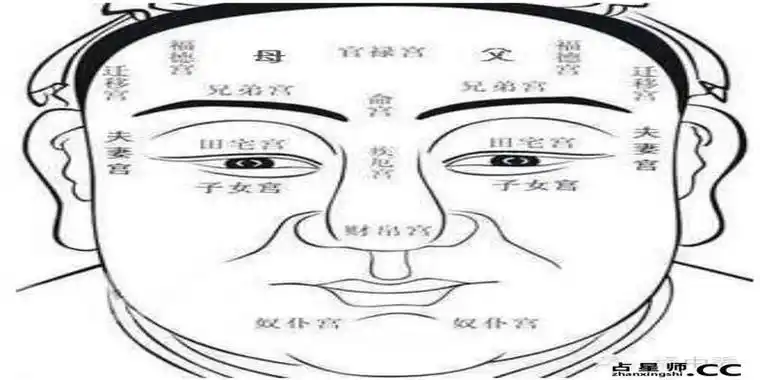 额头面相分析图解(额头面相分析图解大全)