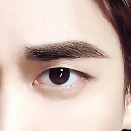 男女通用气质一字眉