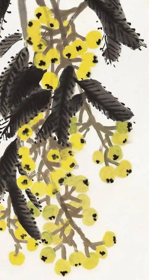 如何鉴定送拍齐白石的枇杷,齐白石传人齐良芷弟子汤发周说,先看枇杷的