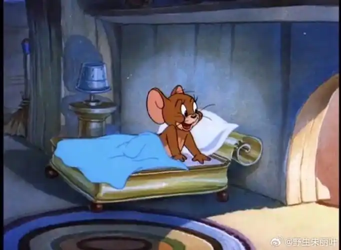 原来杰瑞有这么多睡觉的大床