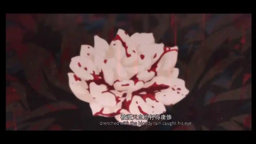 天官赐福血雨探花