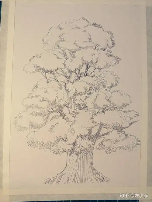 大树的画法过程图77画法说明