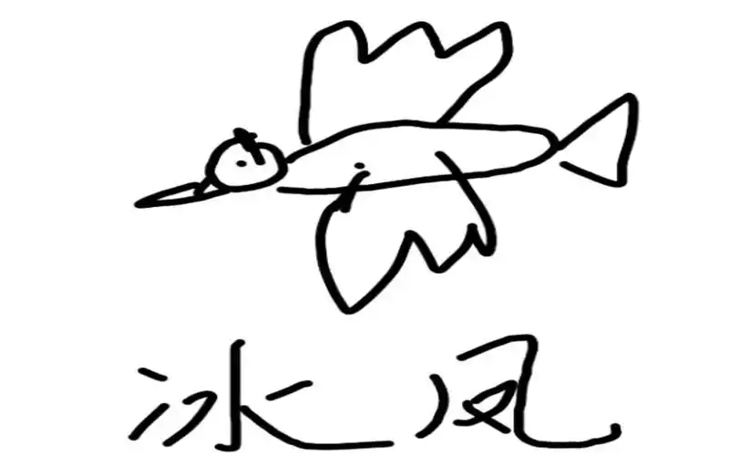 【冰鸟vs飞机】世界第一冰鸟froggen,王者局教你做鸟(带字幕)_英雄