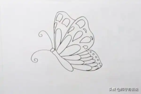蝴蝶剪纸图案画法,如何简笔画一只漂亮的蝴蝶?