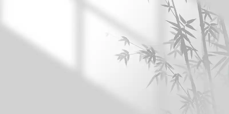 白色简约大气阳光光影光斑窗户竹叶影子展板背景