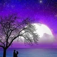 由美头网整理发布,风景头像频道提供更多与夜晚,夜色相关的头像图片