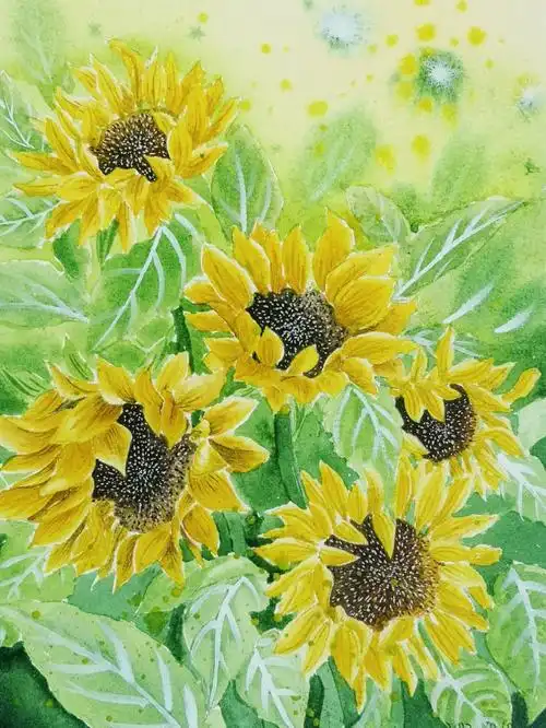 画的不好看拍出来更难看的向日葵