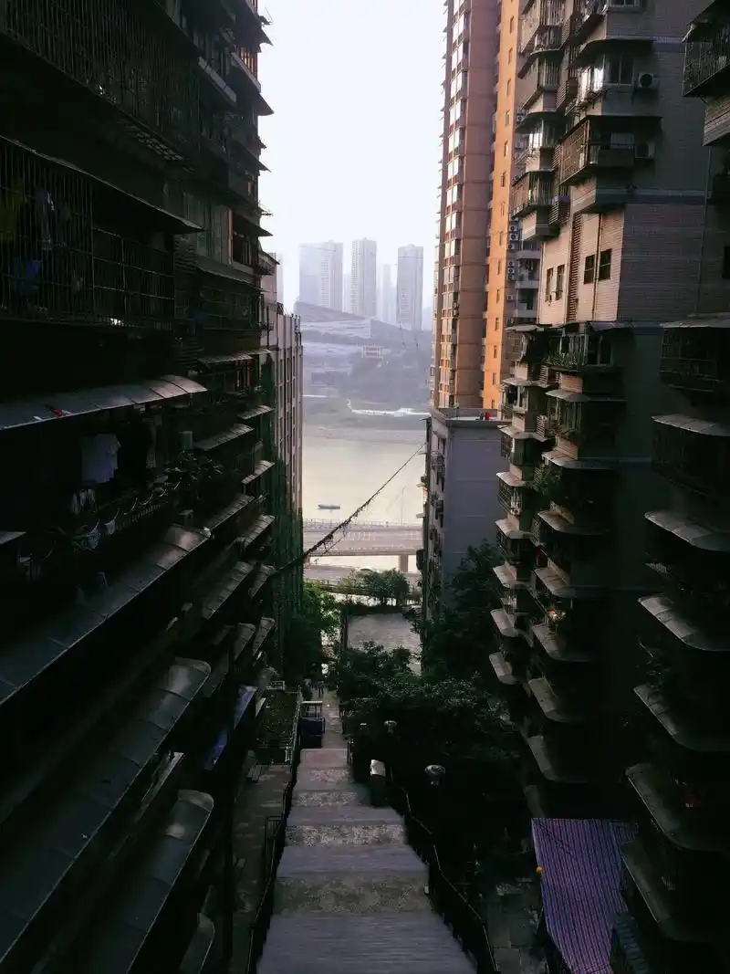 拍照是对麻木单调的生活的一种反抗.#拍照 #分享照片  #重 - 抖音