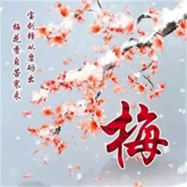 梅花图片大全高清图片唯美超好看的梅花高清头像图片