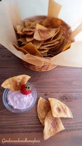 homemade cinnamon and salted corn tortilla chips